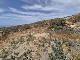 TERRENO RUSTICO CON MUCHAS POSIBILIDADES¡ photo 0