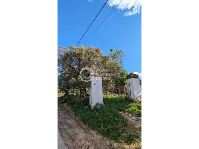 Gran Terrero photo 0