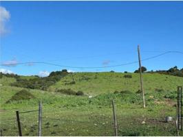 SAN MARTIN DEL TESORILLO TERRENO RUSTICO photo 0