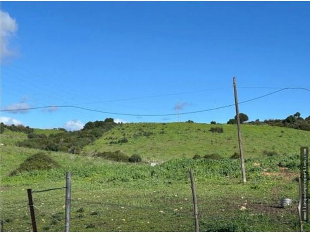 SAN MARTIN DEL TESORILLO TERRENO RUSTICO photo 0