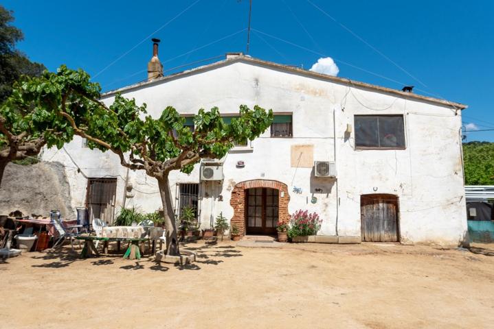 Masia casa pairal amb quadres de cavalls i restaurant photo 0