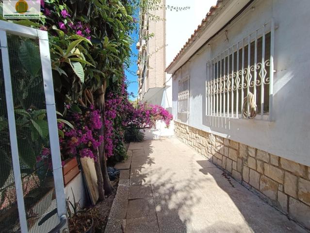 Proyecto de construcción en Benidorm, zona colonia madrid. photo 0