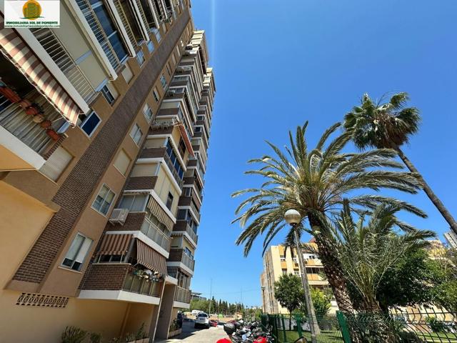 Piso familiar de 3 habitaciones 2 baños en Benidorm. photo 0