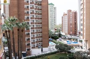 ALQUILER APARTAMENTO ZONA LEVANTE , BENIDORM EN URBANIZACION COMPLETA!! photo 0