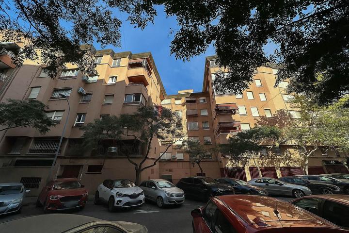 Haroldo Parres 5 photo 0