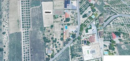 Terreno Rustico Mutxamel 31 photo 0