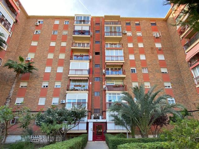 Amplia y luminosa vivienda frente al Bulevar del Pla photo 0