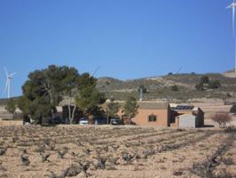 Finca de olivos y viñedos con viviendas y almacera photo 0