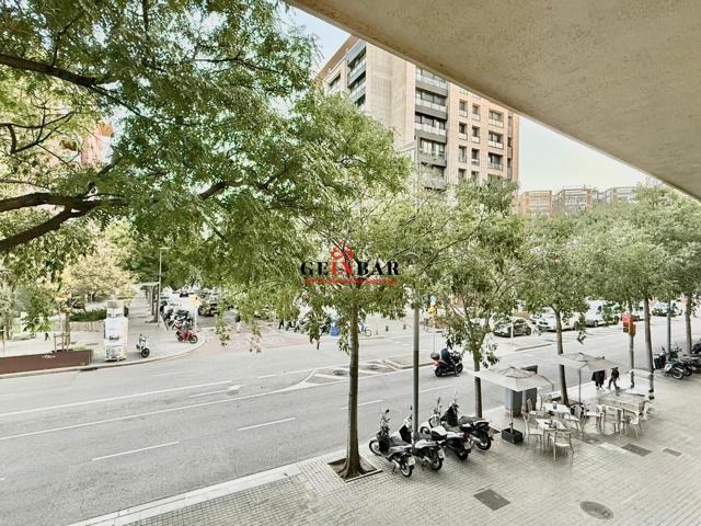 OFICINA EXTERIOR CON LUZ NATURAL photo 0