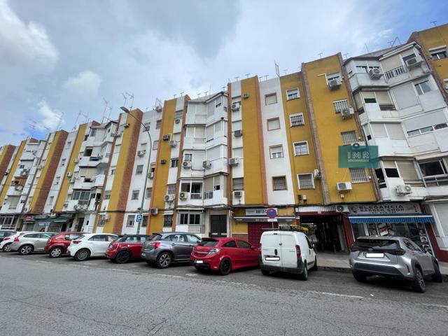 ¡Oportunidad en avenida de Pino Montano! Piso con muchas posibilidades en zona consolidada photo 0