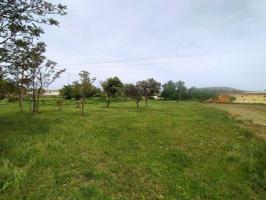 Terreno Urbanizable En venta en Vera De Moncayo, Vera De Moncayo photo 0