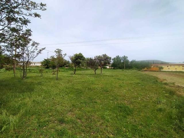 Terreno Urbanizable En venta en Vera De Moncayo, Vera De Moncayo photo 0