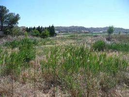 Terrenos Edificables En venta en Nuez De Ebro, Nuez De Ebro photo 0