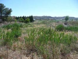 Terreno Urbanizable En venta en Nuez De Ebro, Nuez De Ebro photo 0