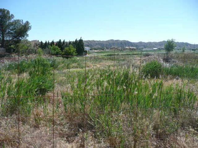 Terreno Urbanizable En venta en Nuez De Ebro, Nuez De Ebro photo 0