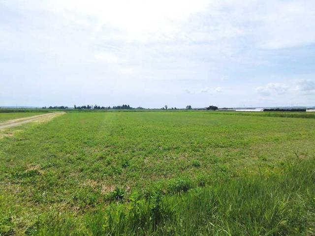Terreno Urbanizable En venta en Movera, Movera photo 0