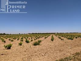 *Terreno en venta 2,5 fanegas de viña de secano en la Alavesa - paraje el Risco* photo 0