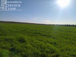 Se venden 13 hectareas de tierra blanca en la zona de la Alavesa photo 0
