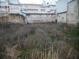 *SOLAR EN VENTA JUNTO A CALLE NUEVA CON 440m2 Y 22 METROS DE FACHADA* photo 0