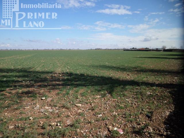 Agrícola En venta en En Carretera Alavesa, Argamasilla De Alba photo 0