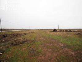 Se vende parcela de secano de 2.2 hectareas en la zona de el abuelito Argamasilla de Alba photo 0