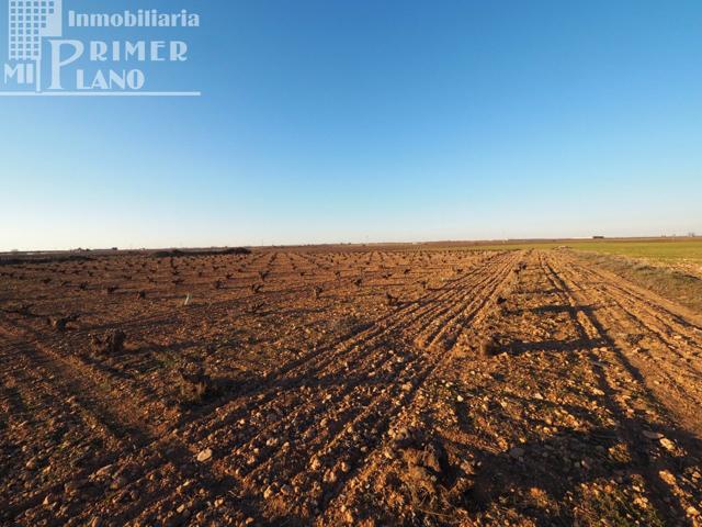 Se vende 1 hectarea de viña de secano junto a la carretera de Socuellamos photo 0