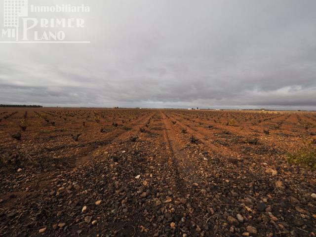 Se vende 13,3 hectareas de viña airen TODO DECLARADO DE AGUA con nave de 140m2 photo 0