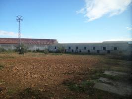 Nave Industrial En venta en Tomelloso photo 0