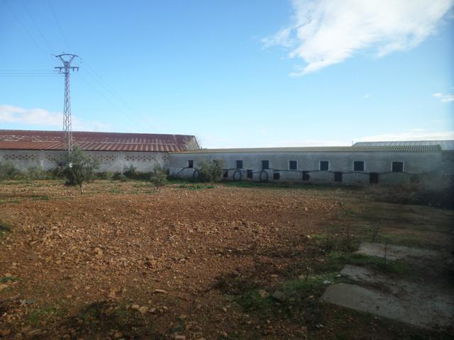 Nave Industrial En venta en Tomelloso photo 0