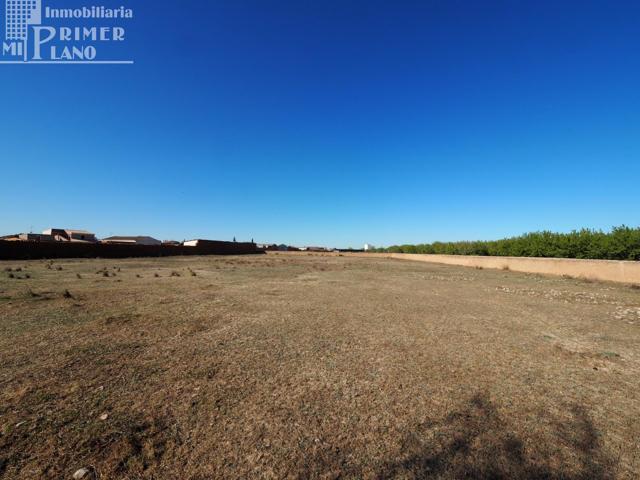 Se vende solar urbano en Argamasilla de Alba 8197 metros cuadrados con 52 de fachada photo 0