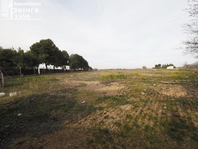 Se vende parcela de terreno rustico en la carretera de Argamasilla de Alba photo 0