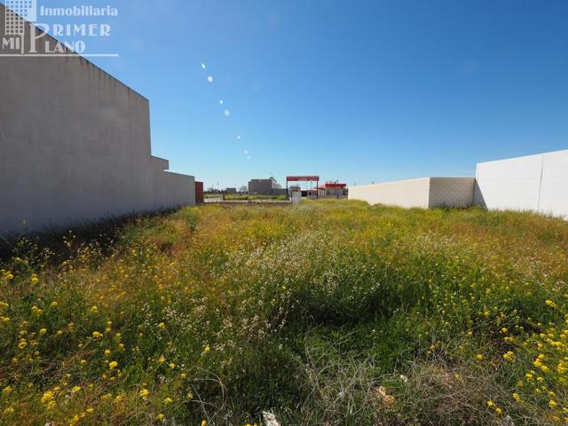 Se vende solar en el poligono 20 tomelloso con 230 m2 y 12 metros de fachada photo 0