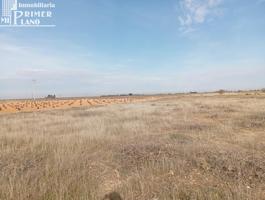 🌿 Parcela Rústica en Venta – Ossa de Montiel (Zona Carretera Villarrobledo) 🌿 photo 0
