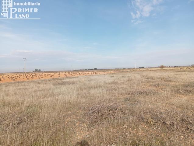 🌿 Parcela Rústica en Venta – Ossa de Montiel (Zona Carretera Villarrobledo) 🌿 photo 0