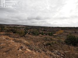 Finca Rústica en Venta: En Las lagunas de Ruidera. AGUA DE ALJIBE photo 0