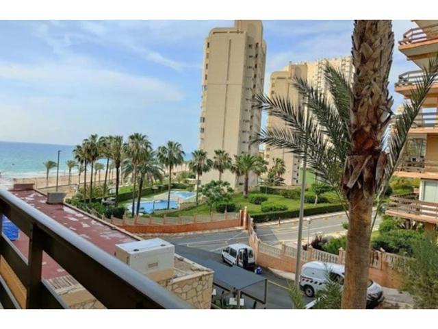 Apartamento 1ª Linea Playa Muchavista Campello photo 0