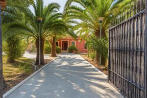 Casa independiente en Carmona con amplia parcela y piscina photo 0
