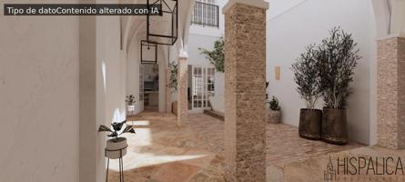 CASA CON ENCANTO EN CARMONA en proceso de renovación photo 0