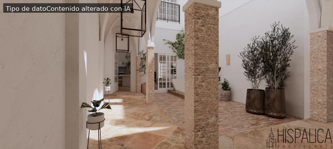 CASA CON ENCANTO EN CARMONA en proceso de renovación photo 0