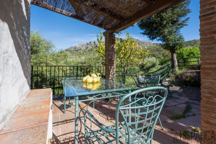 Casa rural con cuadras y terreno agrícola en Grazalema photo 0