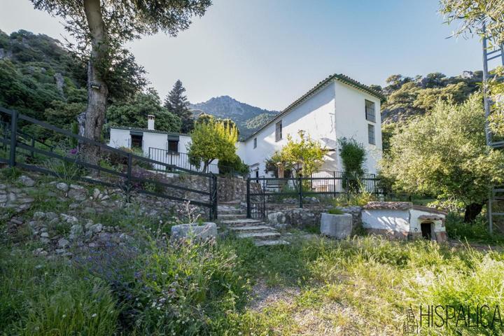 Casa rural con cuadras y terreno agrícola en Grazalema photo 0