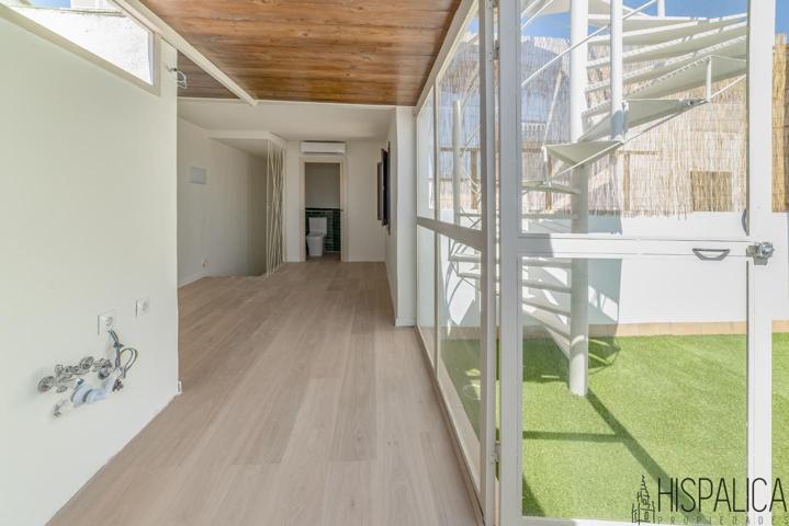 Dúplex Reformado con Terraza y Azotea Privada en el Centro de Sevilla photo 0