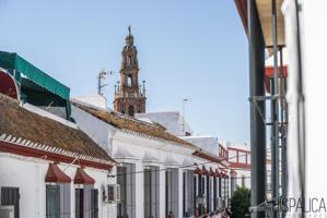 🏡 ACOGEDOR PISO JUNTO A LA PUERTA DE SEVILLA, CARMONA. SEVILLA. photo 0