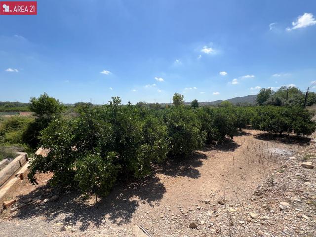VENTA CAMPO EN VILLAMARCHANTE photo 0