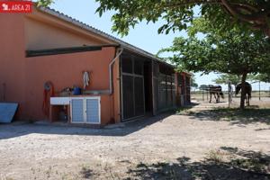 CAMPO CON NAVE IDEAL PARA LOS AMANTES DE LOS CABALLOS en LLIRIA photo 0