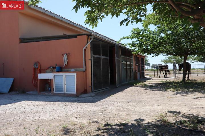 CAMPO CON NAVE IDEAL PARA LOS AMANTES DE LOS CABALLOS en LLIRIA photo 0