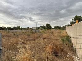 PARCELA DE 859M2 EN GALLIPONT photo 0