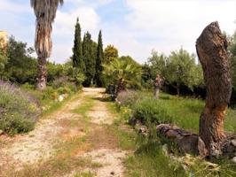 Terreno en venta en Montserrat photo 0