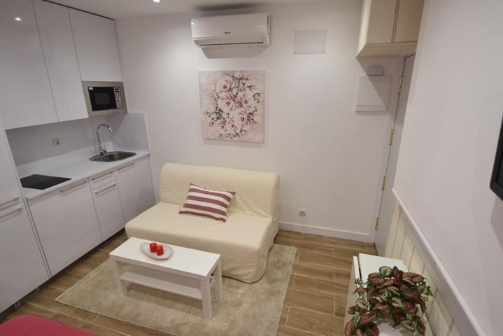 ESTUDIO REFORMADO EN PLENO CENTRO DE MADRID photo 0