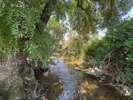 Cortijo con caza mayor y explotación ganadera en la Sierra de Sevilla photo 0
